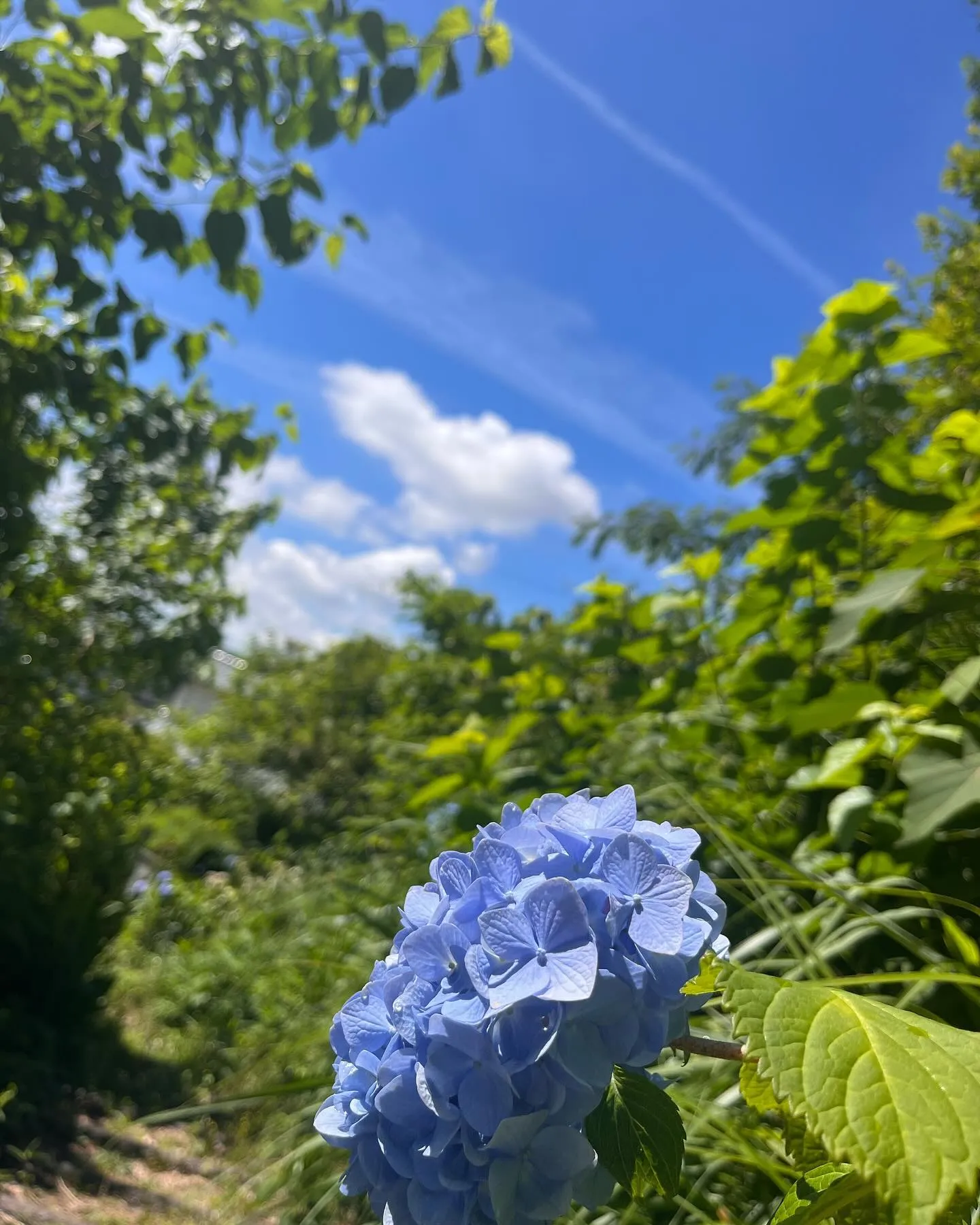 元気いっぱい🌿‬シニアの皆さま