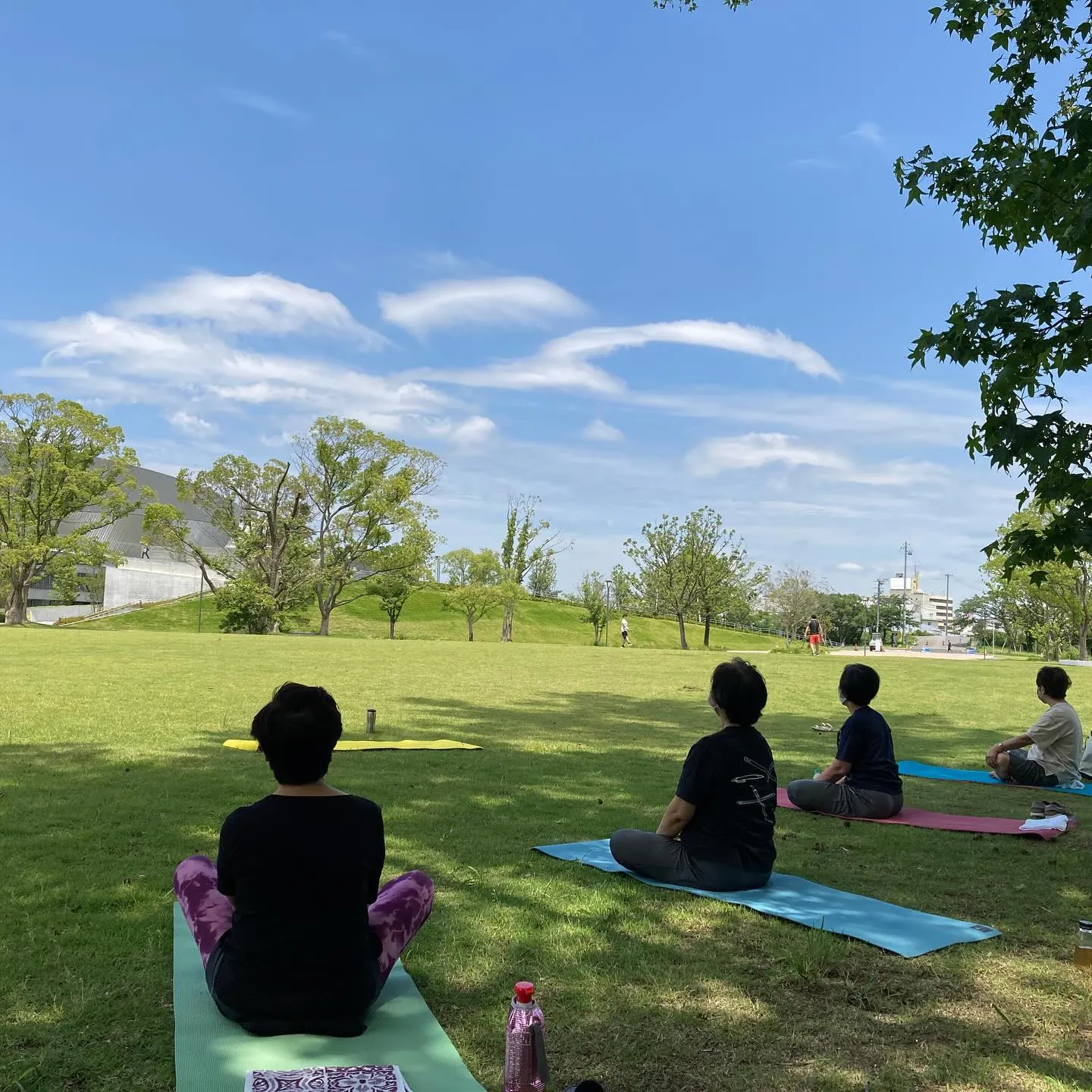 🍀 青空ヨガ のご案内 🍀