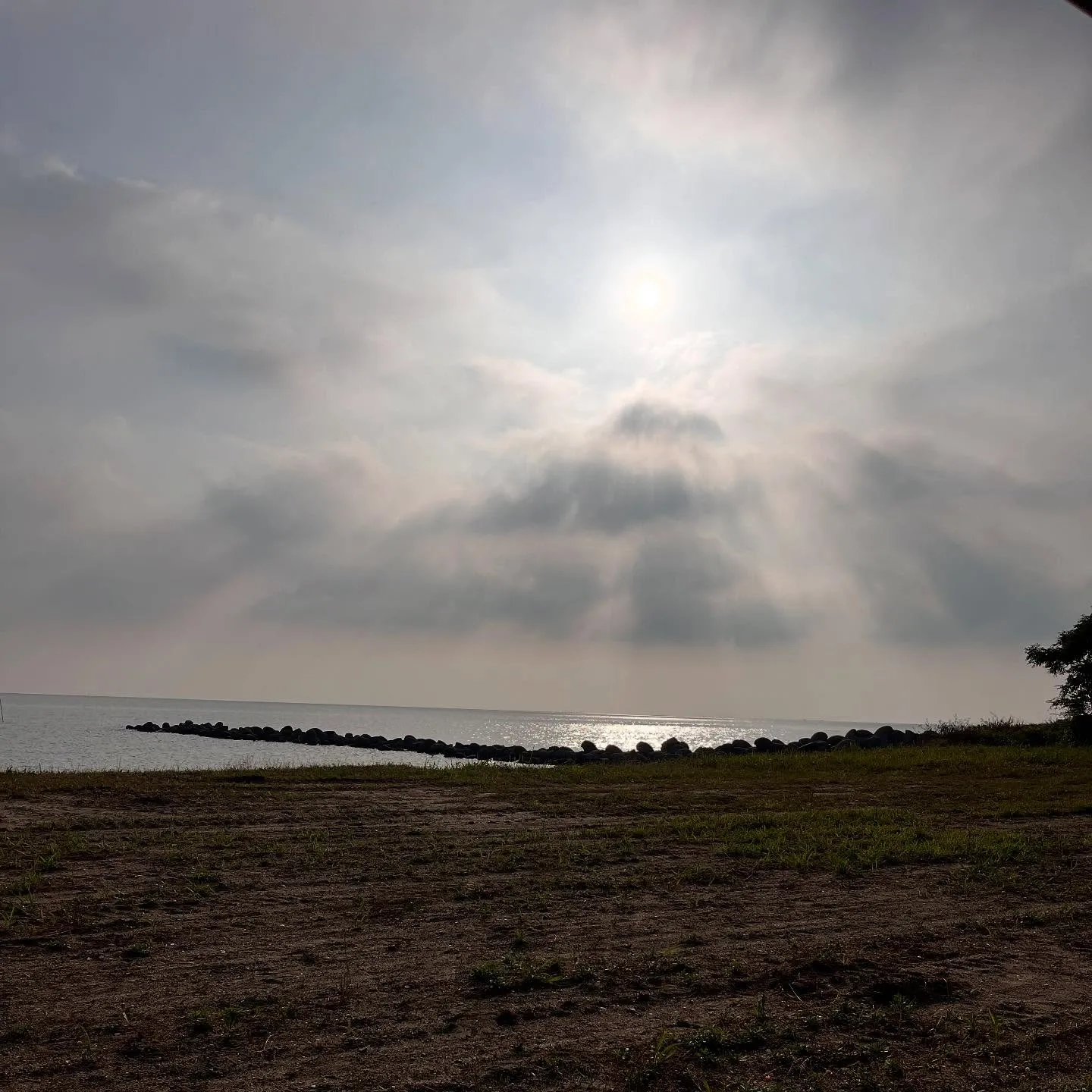 海辺で早朝ヨガ🧘‍♀️ 