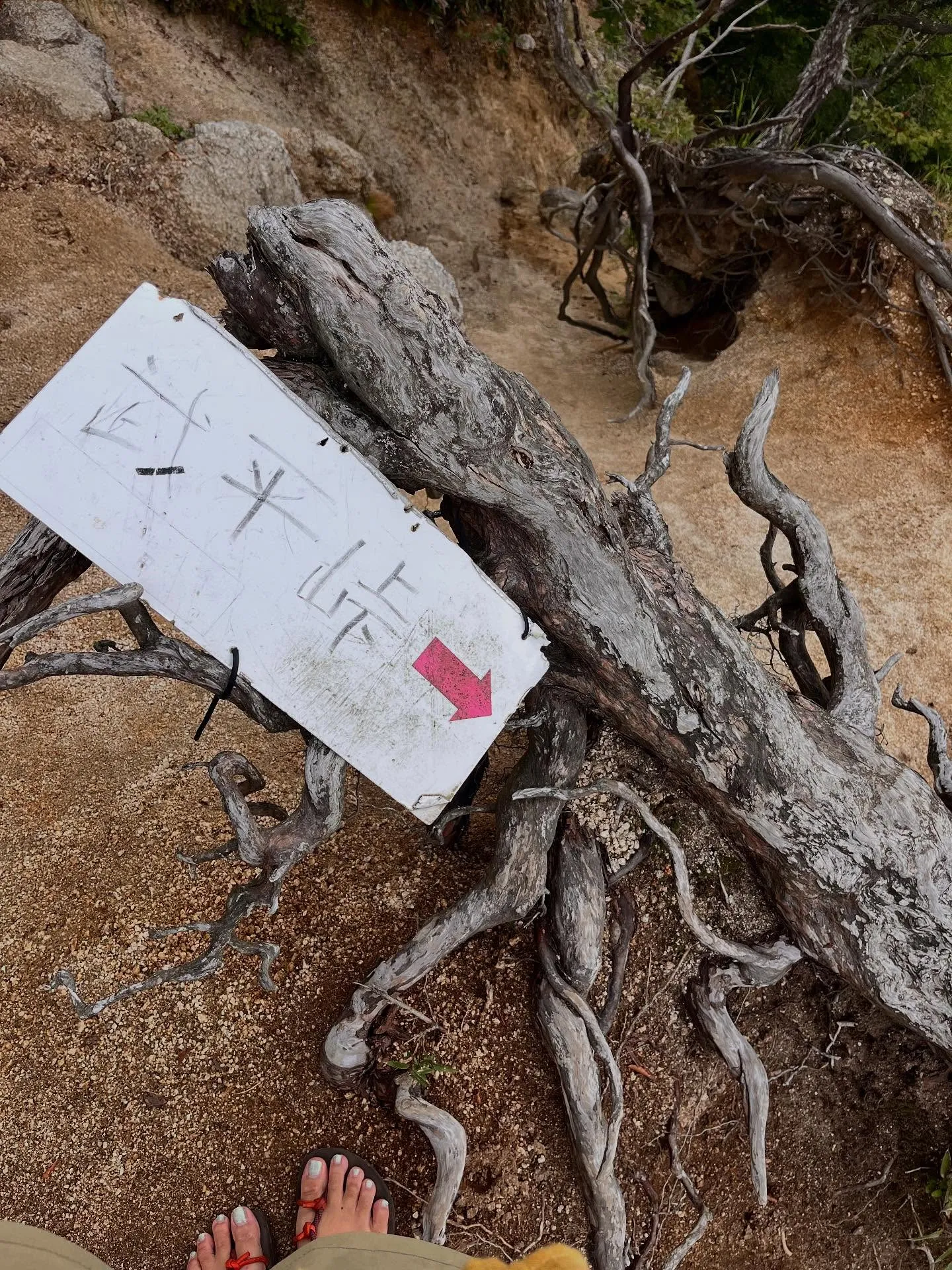 archサンダル🩴で久しぶりのお山へ