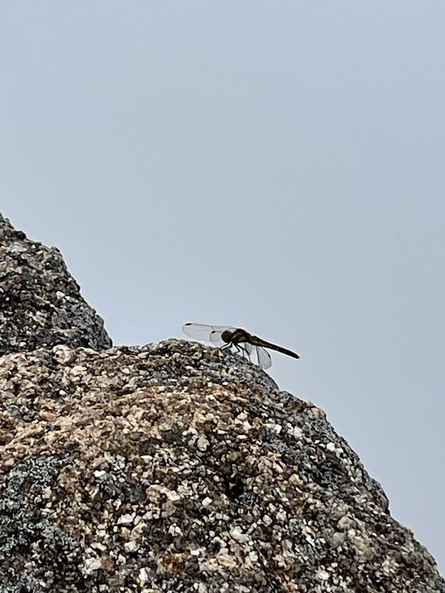 archサンダル🩴で久しぶりのお山へ