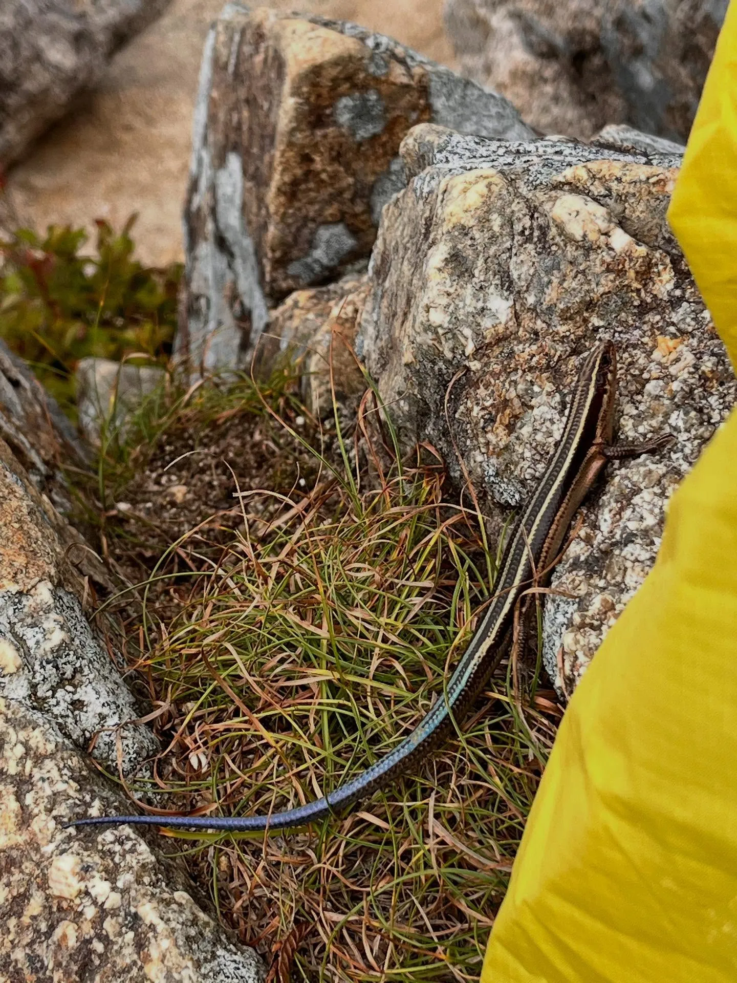 archサンダル🩴で久しぶりのお山へ
