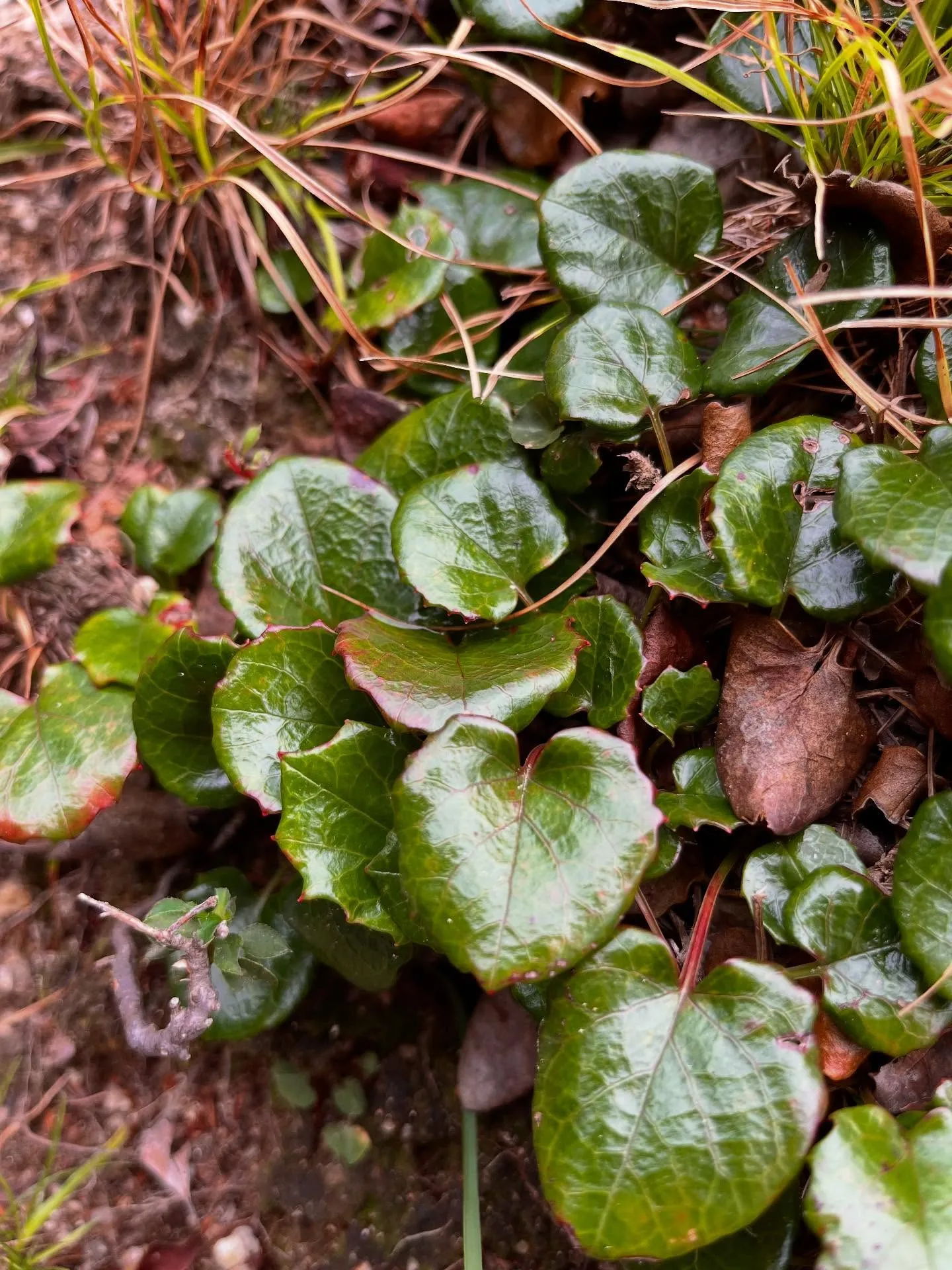 archサンダル🩴で久しぶりのお山へ