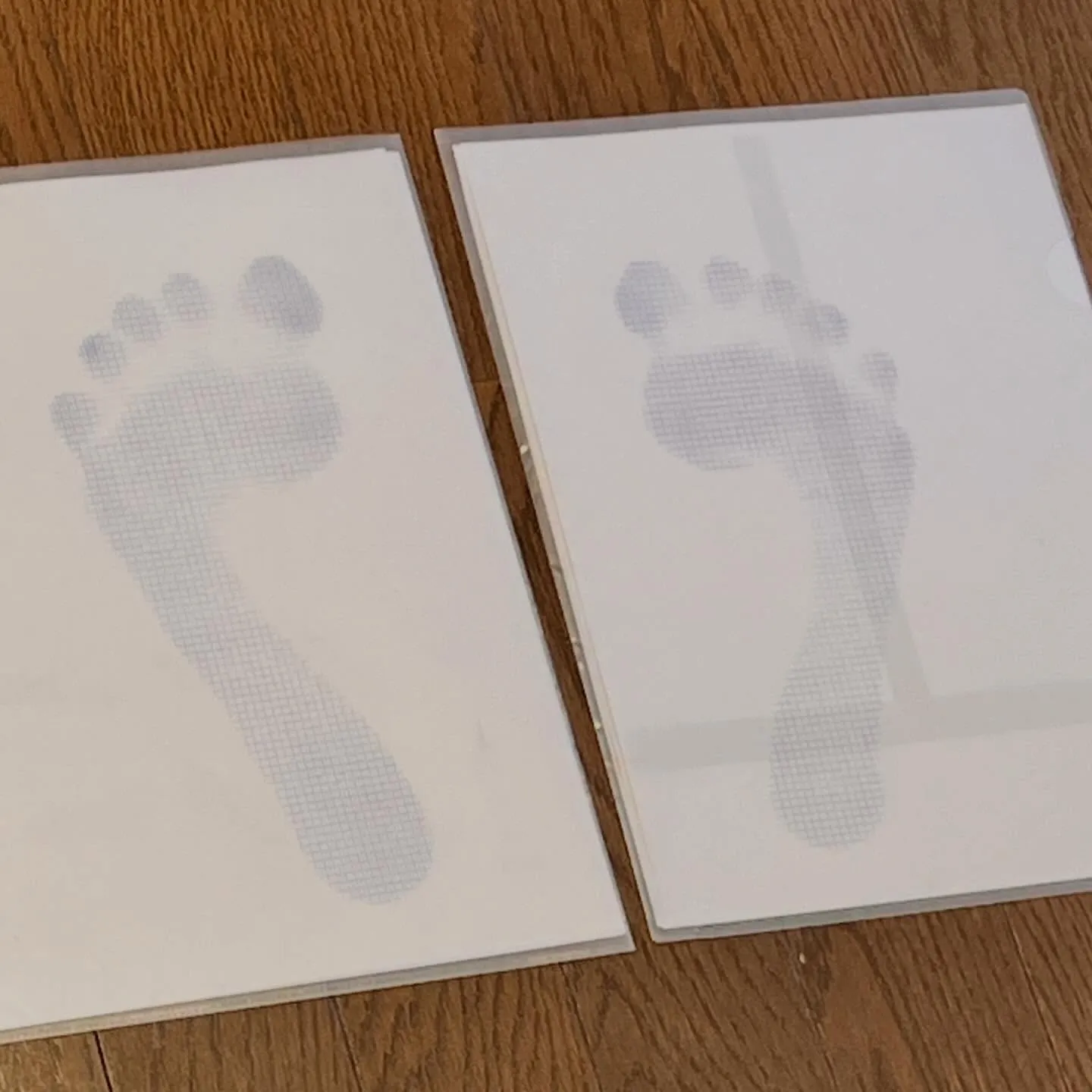 『 體 』 これ何と読む?