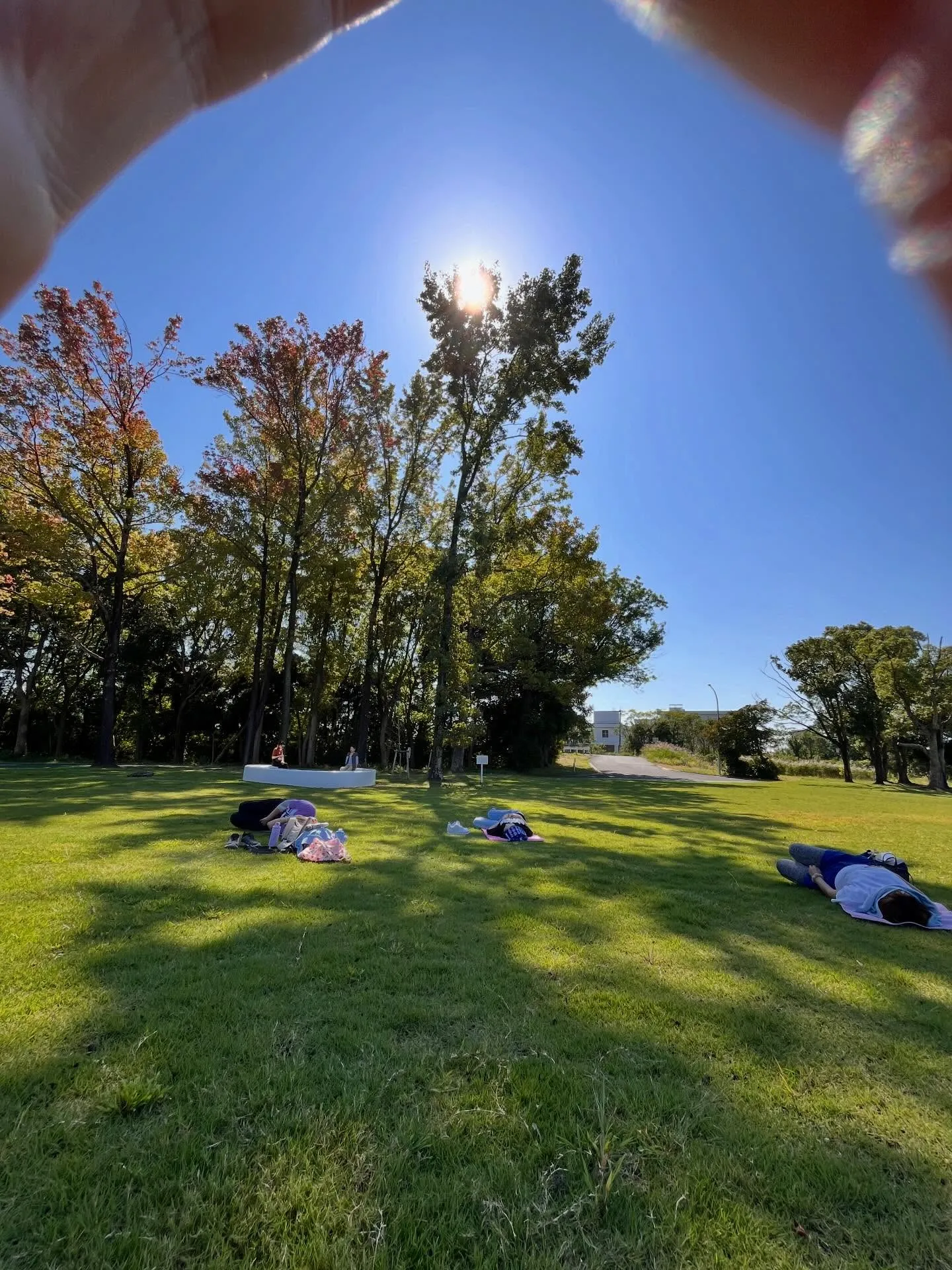 丸山先生の鍼治療に行ってきました
