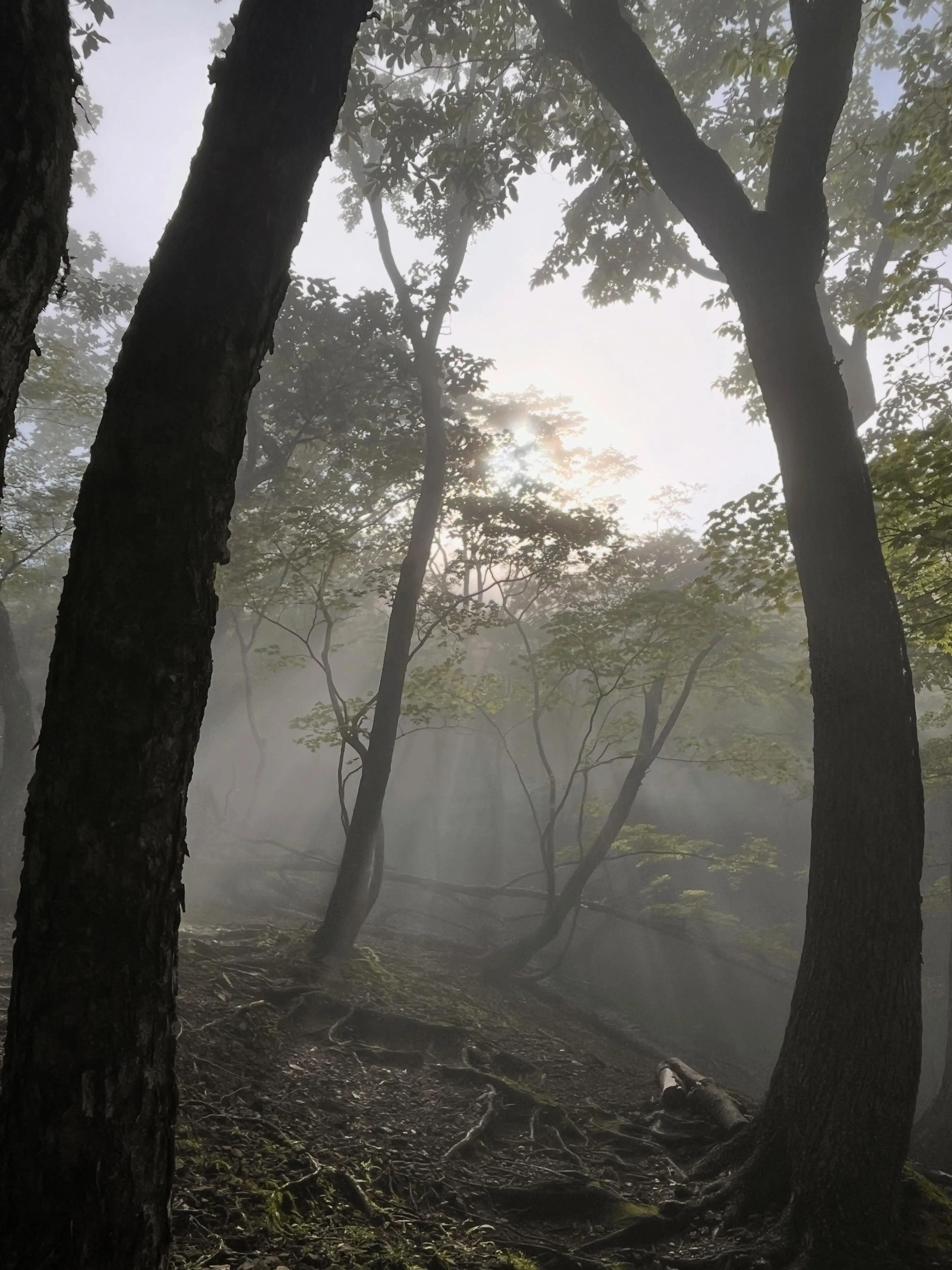 archサンダルでお山遊び👣⸒⸒