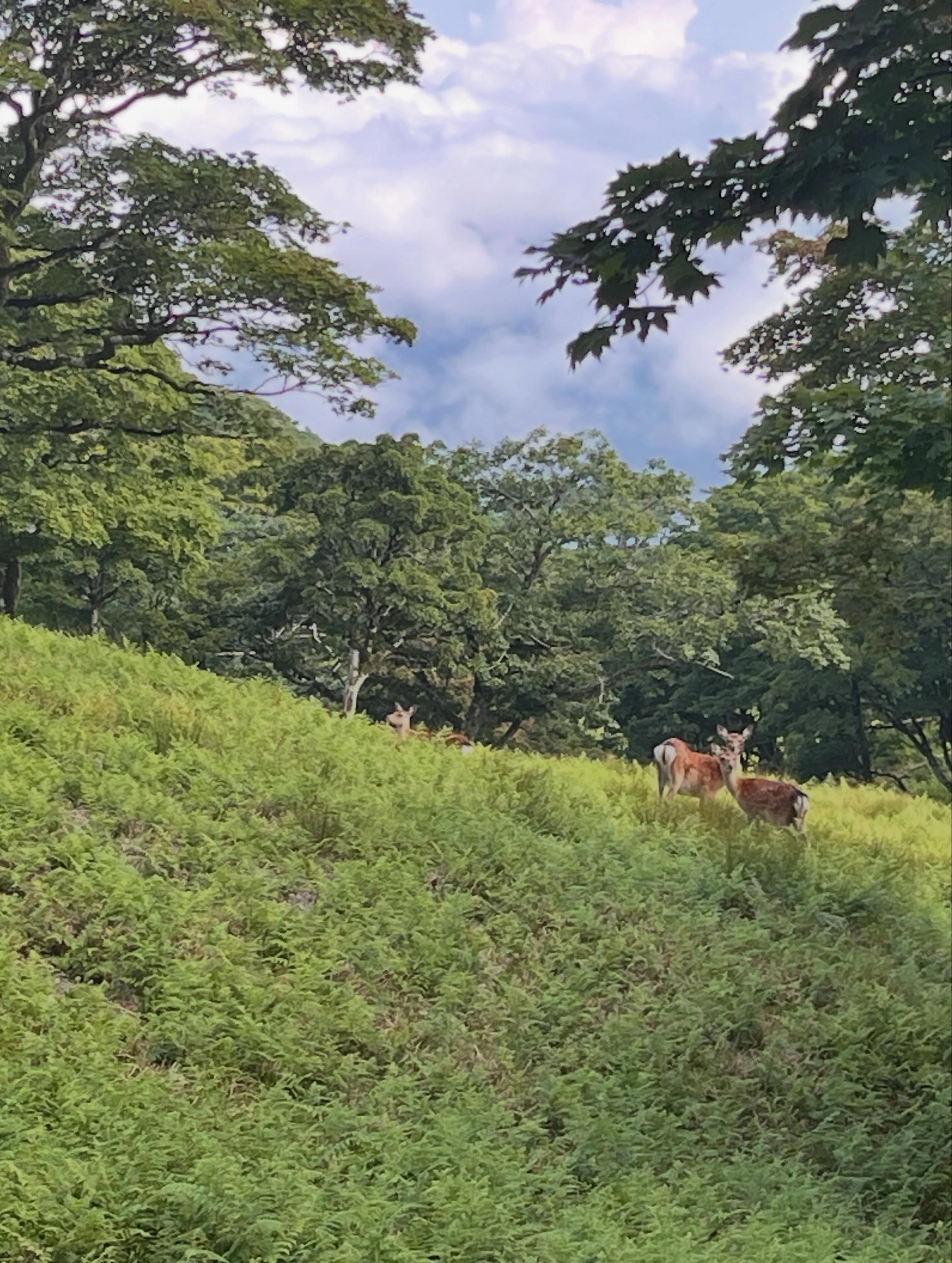 archサンダルでお山遊び👣⸒⸒