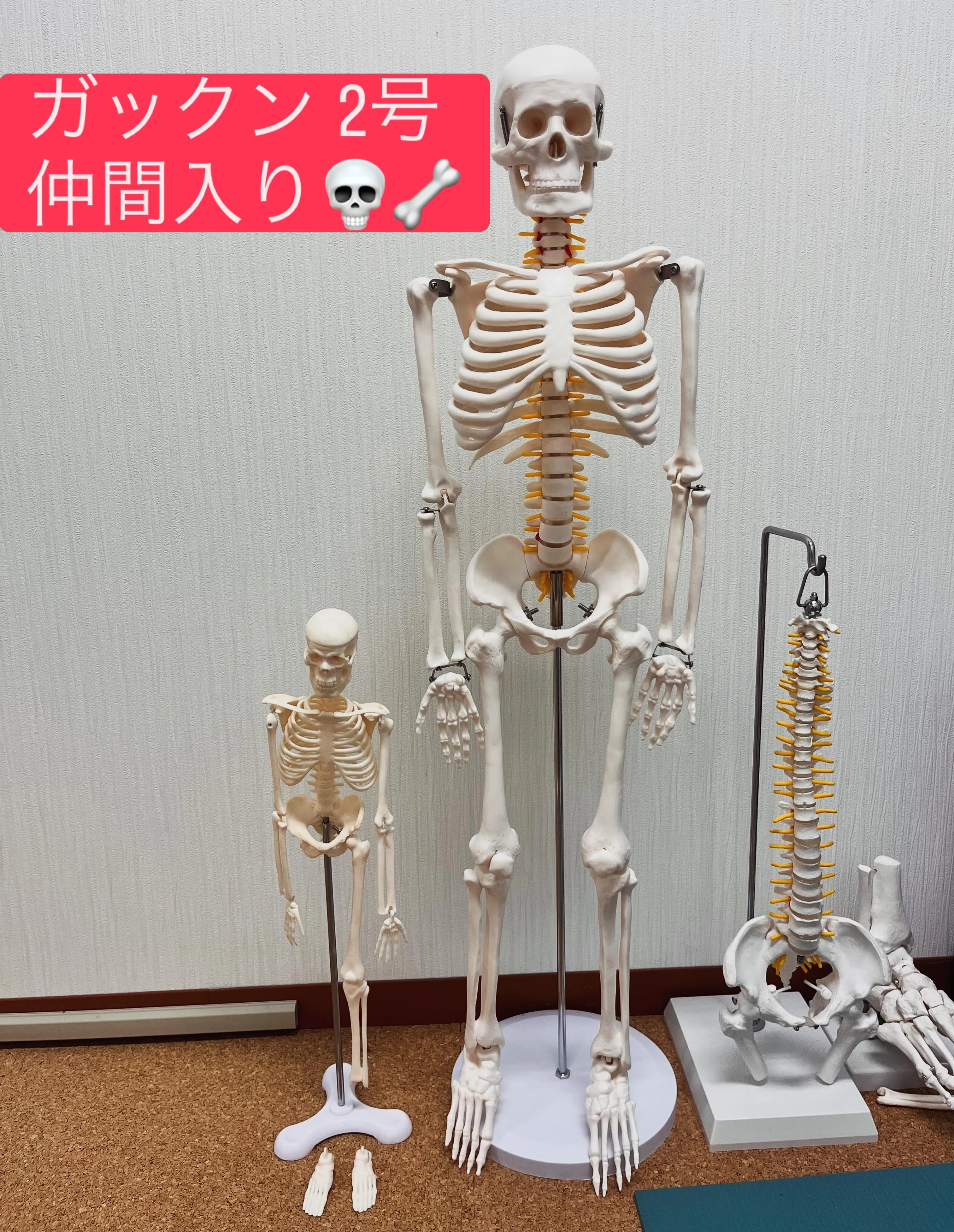 【視覚から身体をイメージできると】