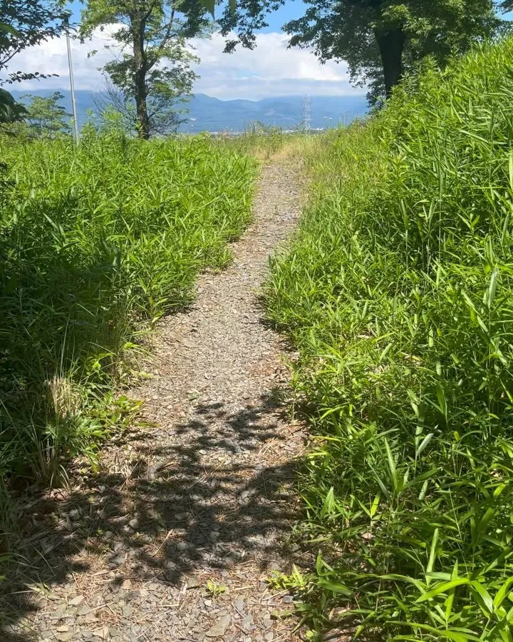 元気いっぱい🌿‬シニアの皆さま